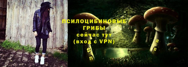СК Осташков