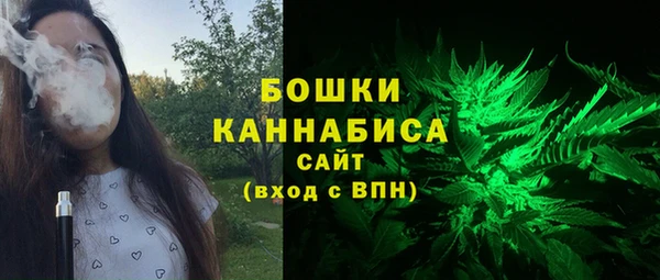 ALPHA PVP Остров