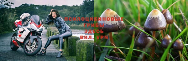 амф Няндома