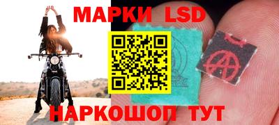 mdma Новозыбков