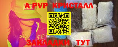 амф Донской