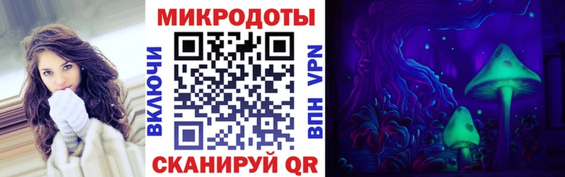 мега зеркало  купить наркотики сайты  Омск  Псилоцибиновые грибы Psilocybe 